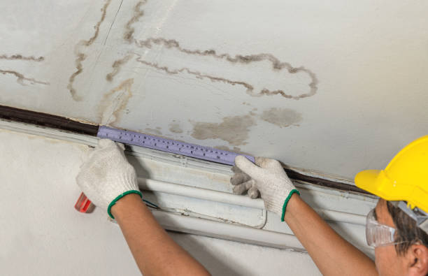 Affordable Water Damage Repair solutions in Cherry Log, GA